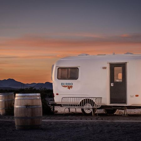 Tarantula Ranch Campground & Vineyard Near Death Valley National Park 아마르고사 밸리 외부 사진