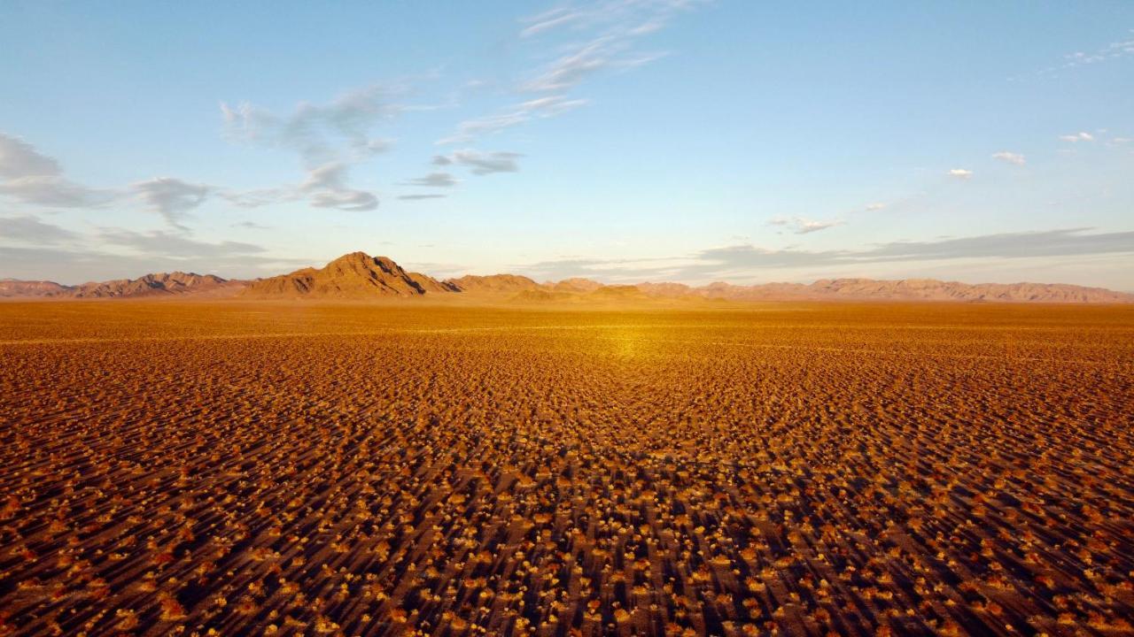 Tarantula Ranch Campground & Vineyard Near Death Valley National Park 아마르고사 밸리 외부 사진