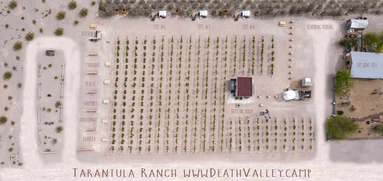 Tarantula Ranch Campground & Vineyard Near Death Valley National Park 아마르고사 밸리 외부 사진
